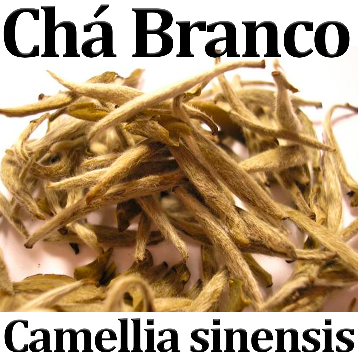 Chá da Horta Organza Alimentos Ref. 001