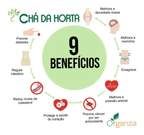 Chá da Horta Organza Alimentos Ref. 001