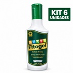 Kit 6 unidades Fitogel Gel de Arnica para massagem