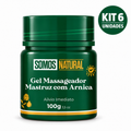Kit 6 unidades Gel Massageador Mastruz com Arnica Somos Natural 100g