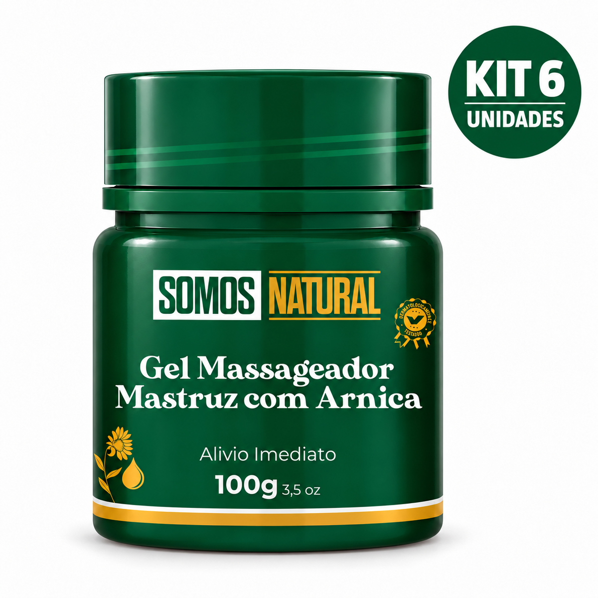 Kit 6 unidades Gel Massageador Mastruz com Arnica Somos Natural 100g