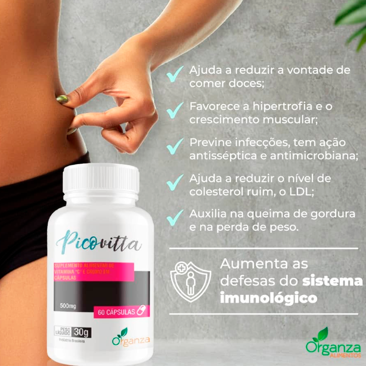 Picovitta Emagrecedor Natural Organza Alimentos