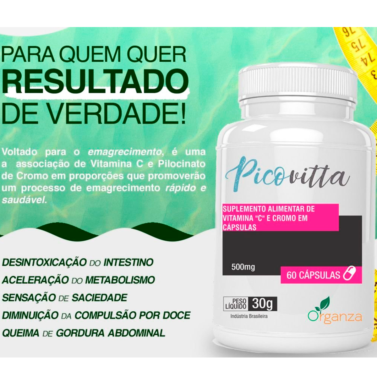 Picovitta Emagrecedor Natural Organza Alimentos