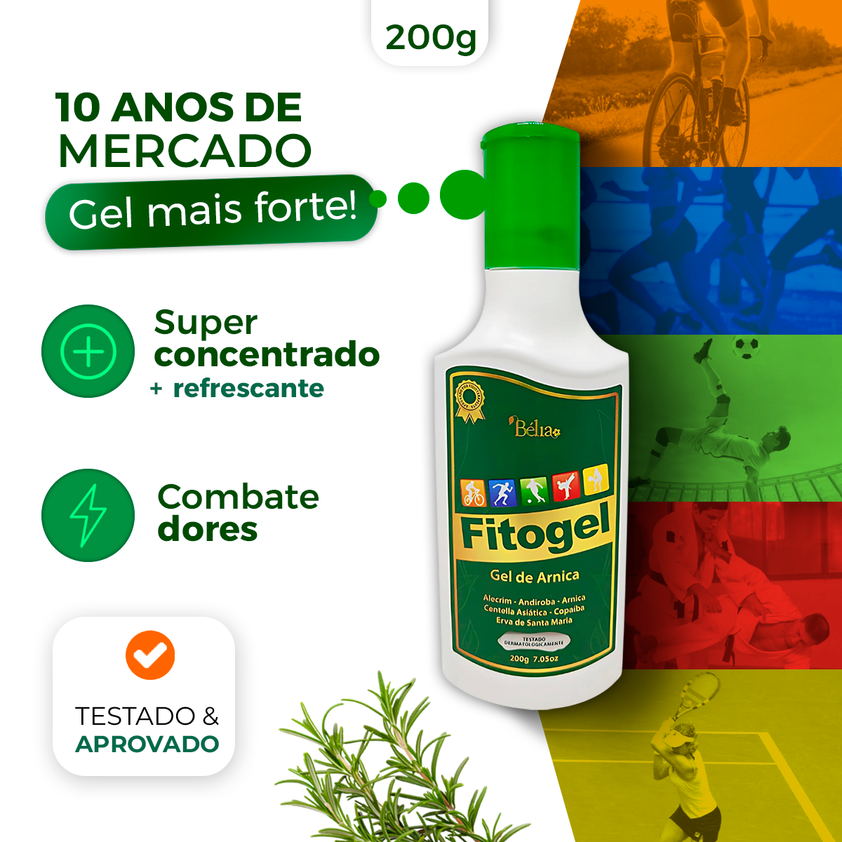 Fitogel GEL DE ARNICA EXTRA FORTE 10 ERVAS fitogel