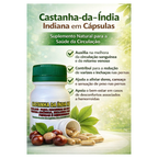 Castanha da india indiana 15 capsulas Original