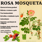 Nova Pele Creme De Manutenção Skincare A Botica